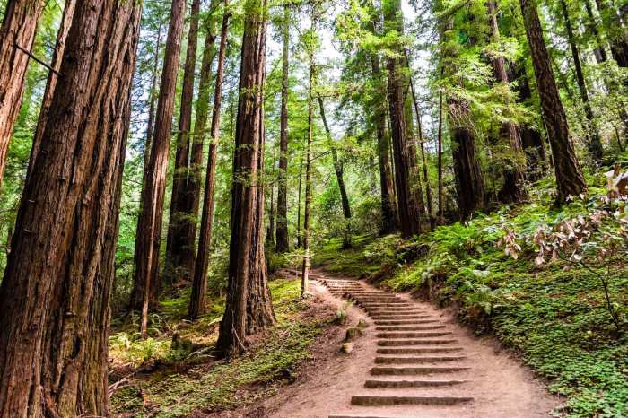 Crest hiking hike pct asking modoc hikers northwest